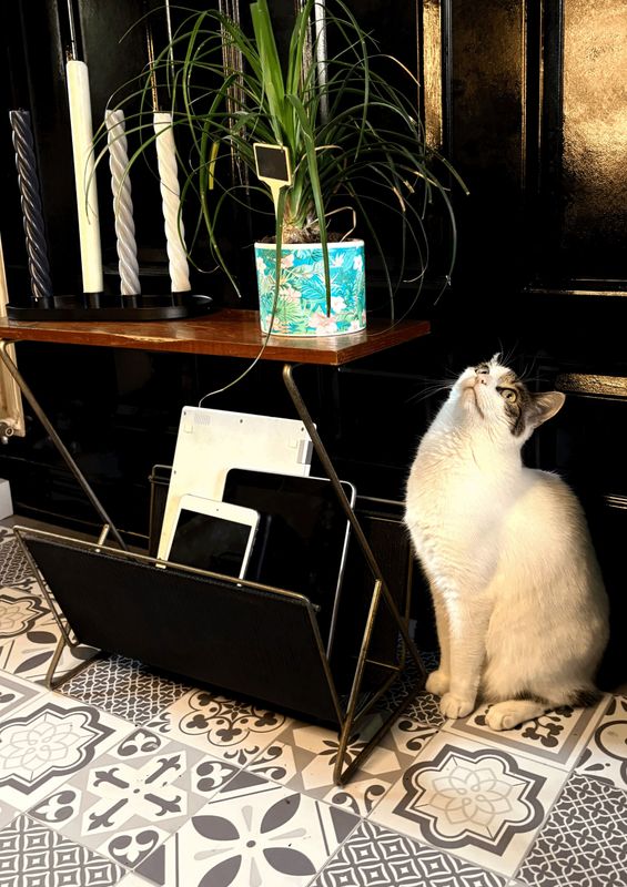 Smalle vintage bijzettafel met kaarsen en een plant, een kat ervoor op de tegelvloer
