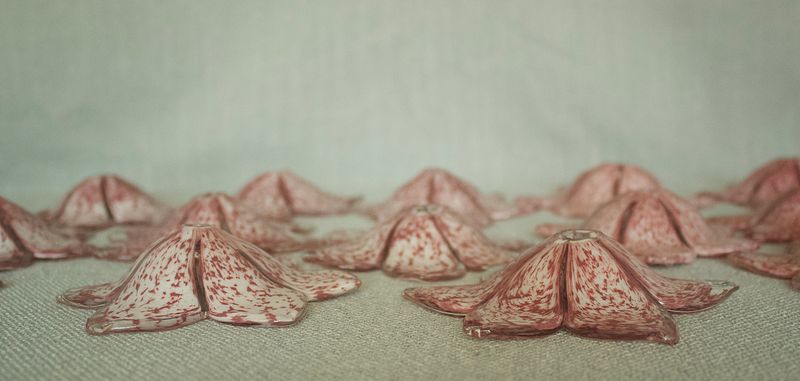 ⁠Nauwkeurig macrodetail van de textuur en kleurvariatie van een enkele handgemaakte roze Murano-glazen bloem 
