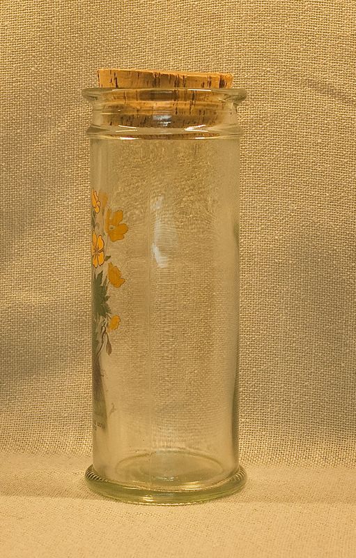 Zijkant van vintage glazen pot met botanische print van de Scherpe Boterbloem