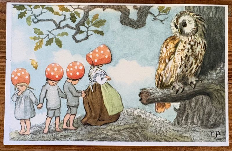 Elsa Beskow ansichtkaart Tomtebobarnen nr 7, voorkant met vier kinderen met vliegenzwamhoeden en een uil